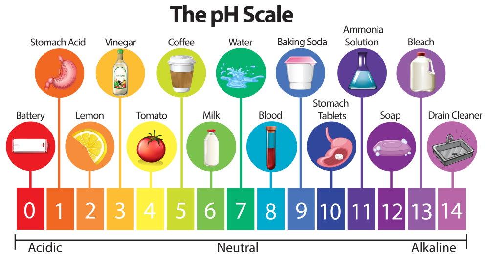 Water pH Value Does Matter | ClearLiving